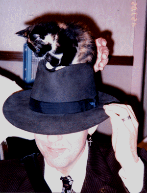 Cat On A Hat