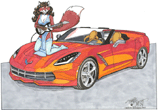 Cassie's Stingray