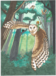 Cloak Of Feathers