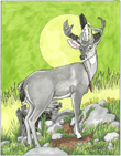 Grey Ghost