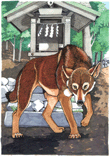 Japanese Honshu Wolf