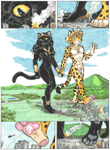 Macro Stroll