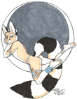 Ringtail Moon
